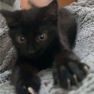 Meet your Posher, Hailey